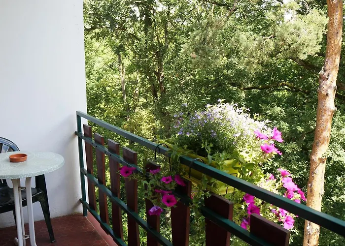 Ξενοδοχείο Robinson